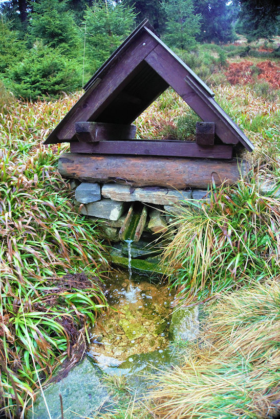 studánka bez jména (13109)