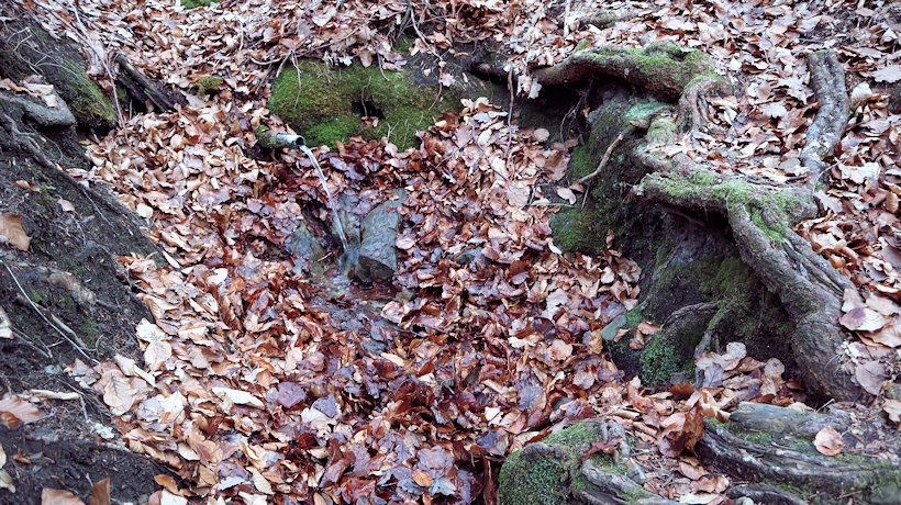 Lojzova studánka (13122)