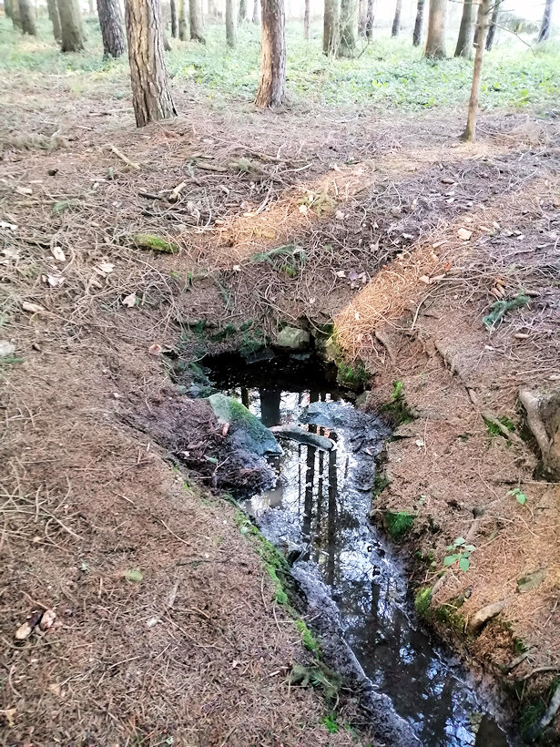 studánka Pod trianglem (13129)