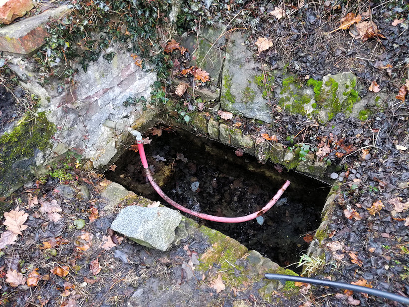 studánka Beze jména (13133)