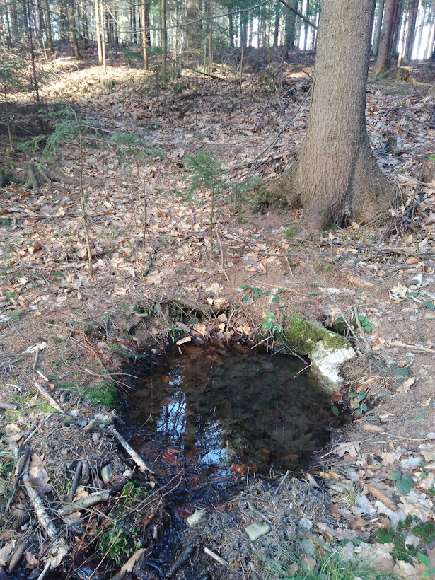 Edíčkova studánka (13136)