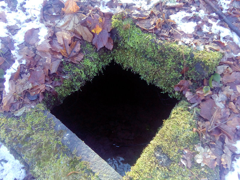 studánka Na Pasekách (13147)