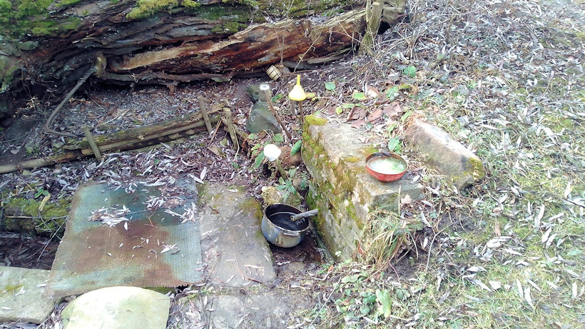 studánka bez jména (13151)