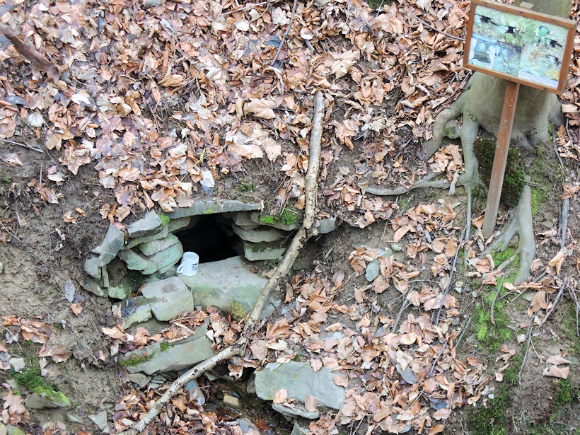 studánka U čertovy kaple (13165)