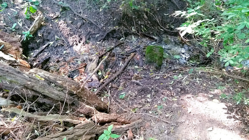 studánka V Glorietu (13172)
