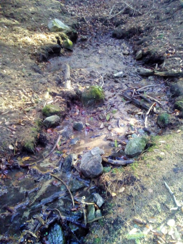 Písečné prameniště (13200)