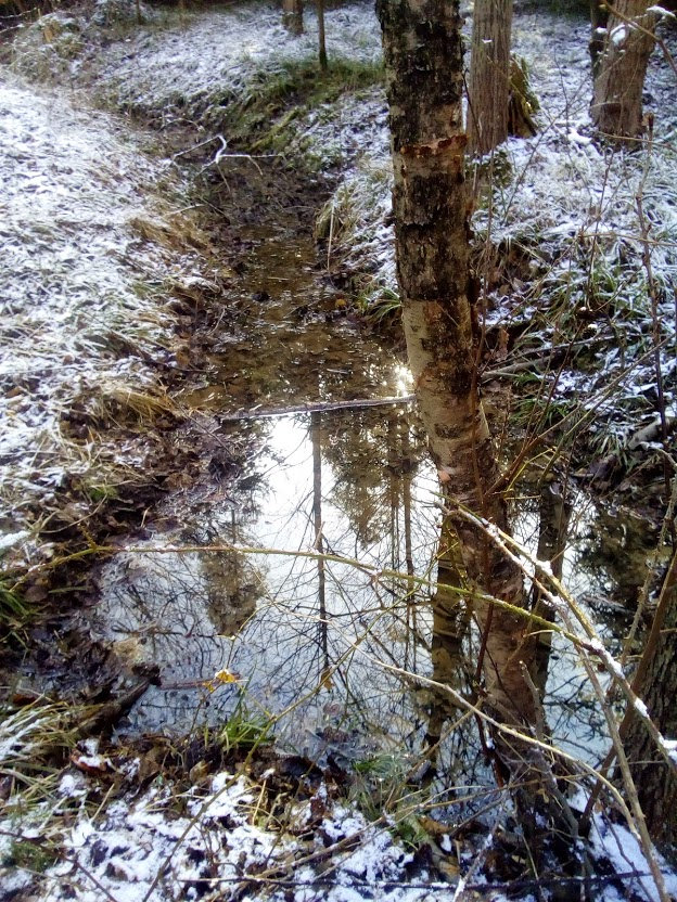 Kančí prameny (13201)