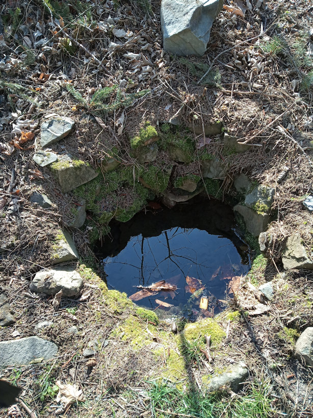 studánka Zavadilka (13202)