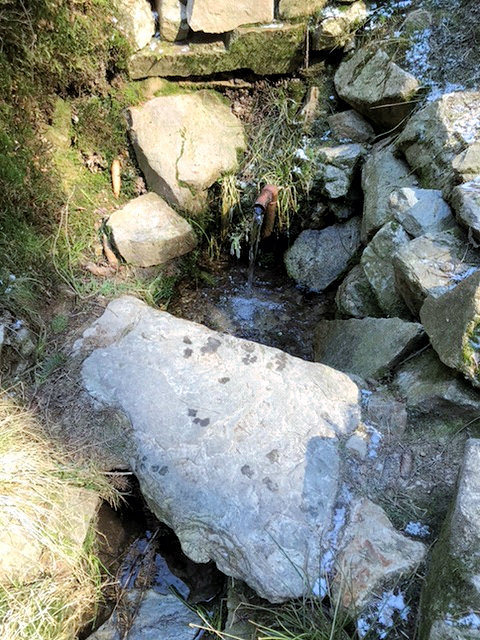 studánka Prdlavka (13203)