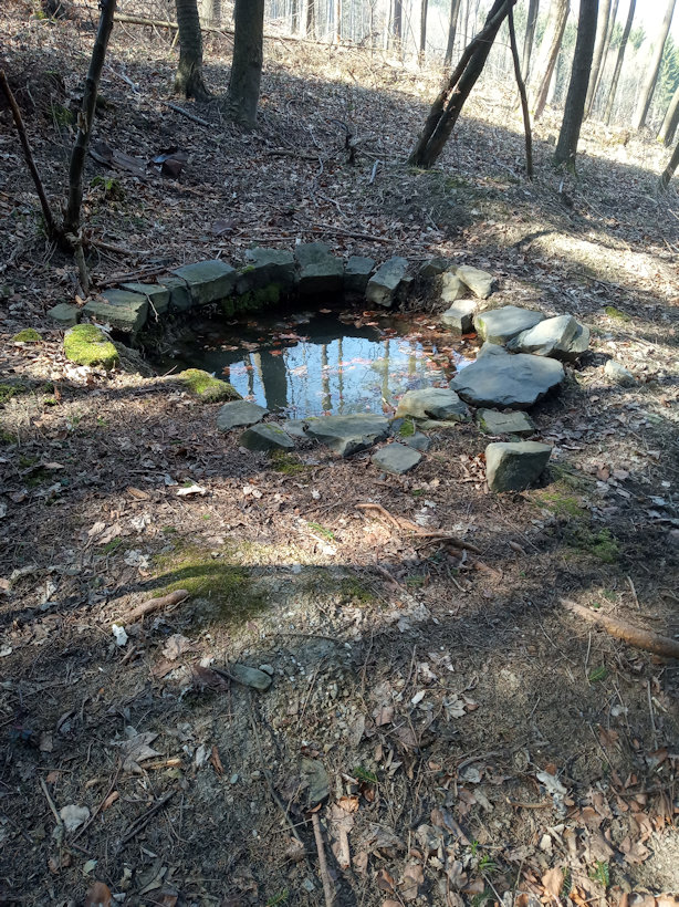 Mikiho studánka (13217)