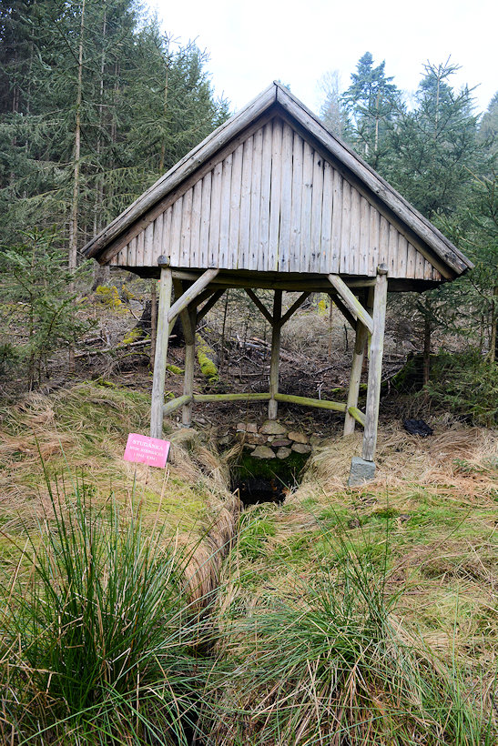 studánka MVDr. Steinbacha (13223)