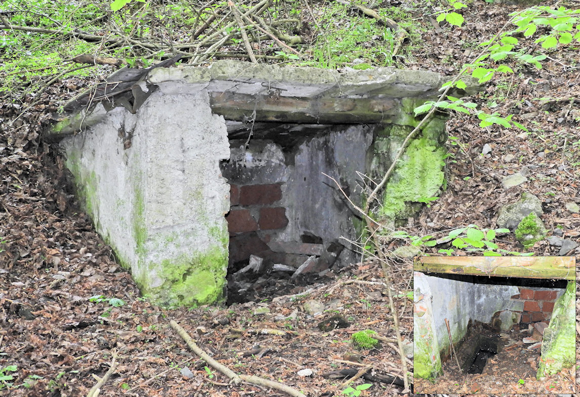 studánka V Točenské rokli (13226)