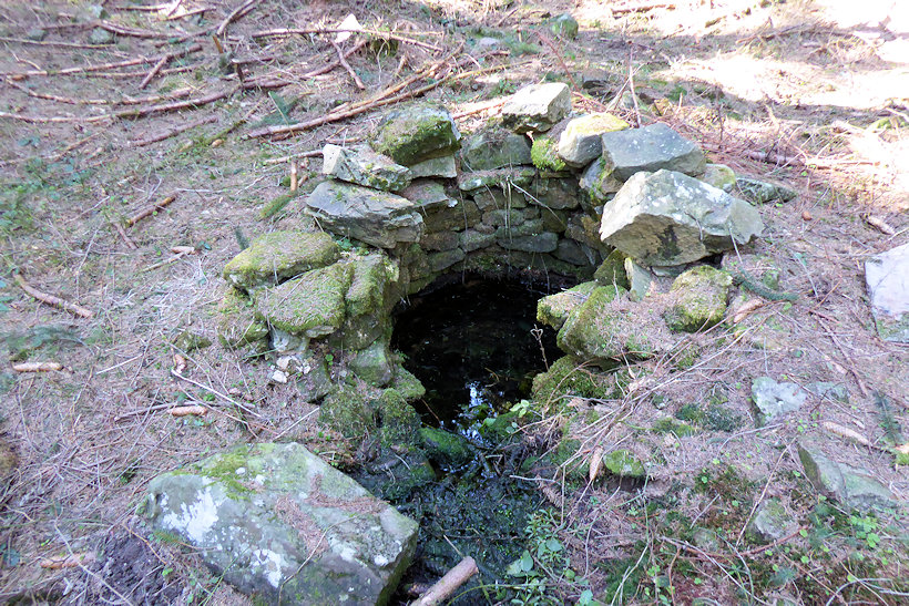 studánka bez jména (13228)