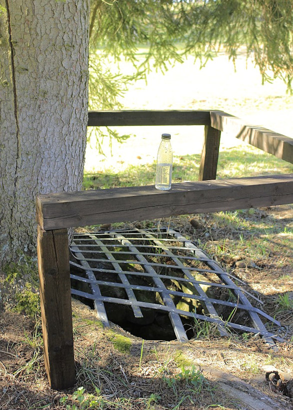 studánka bez jména (13231)