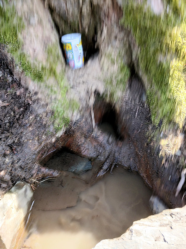 studánka Pod dubem (13233)