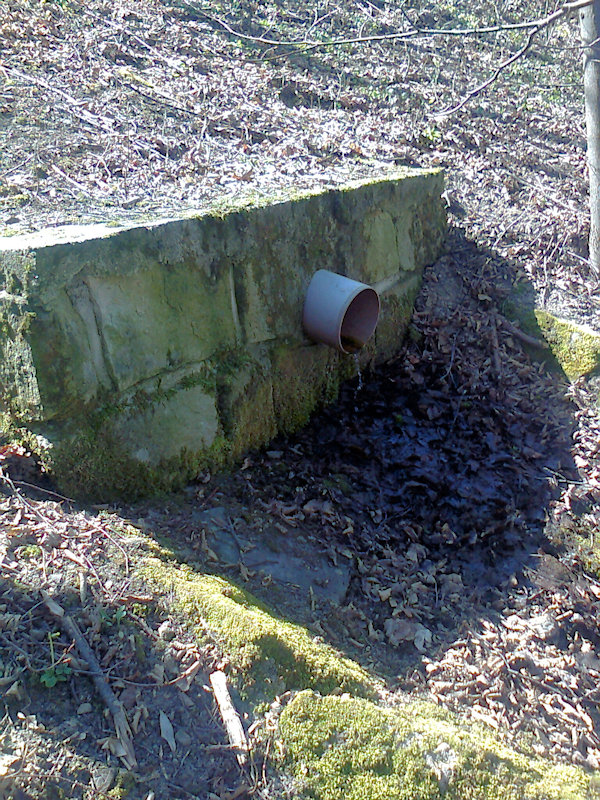 studánka Víťa (13240)