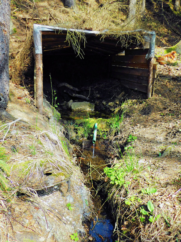 studánka bez jména (13244)