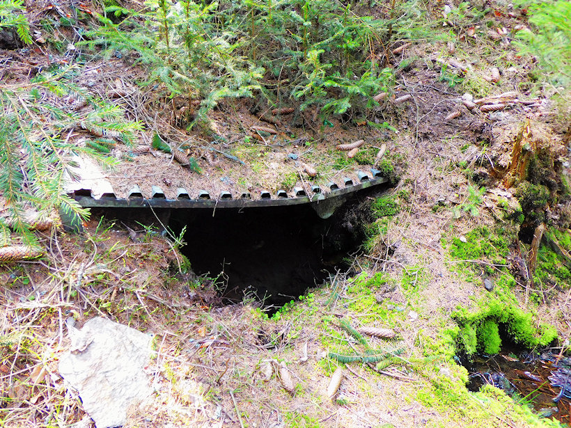 studánka bez jména (13245)