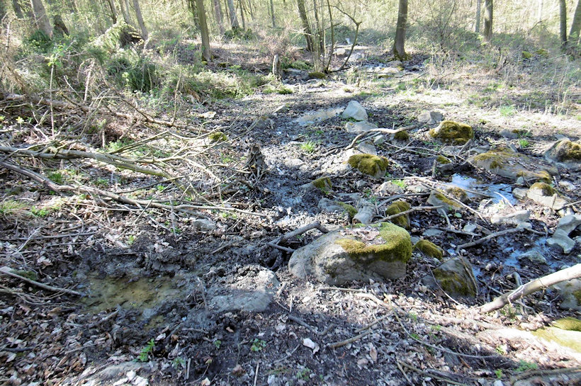 studánka bez jména (13249)
