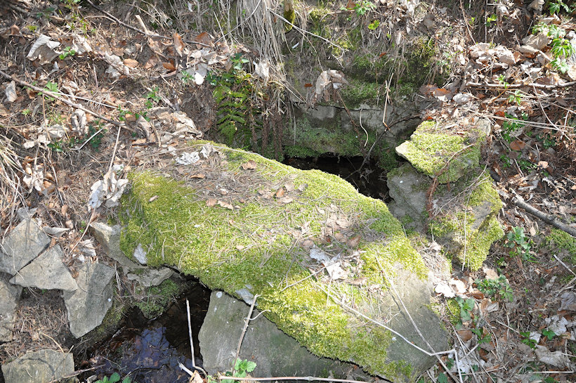 studánka V Dolci (13250)