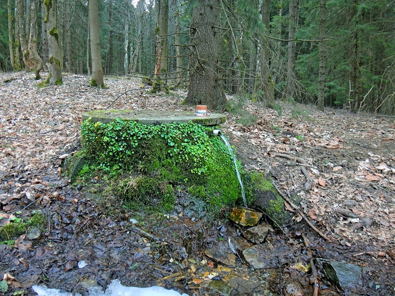 Bedřichovský pramen (13262)