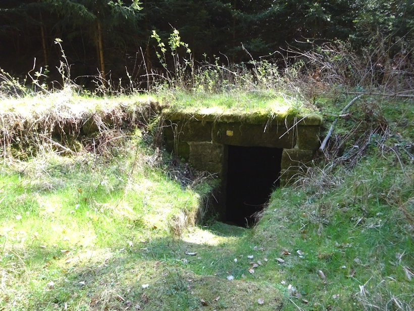 studánka V Týnském dole (13271)