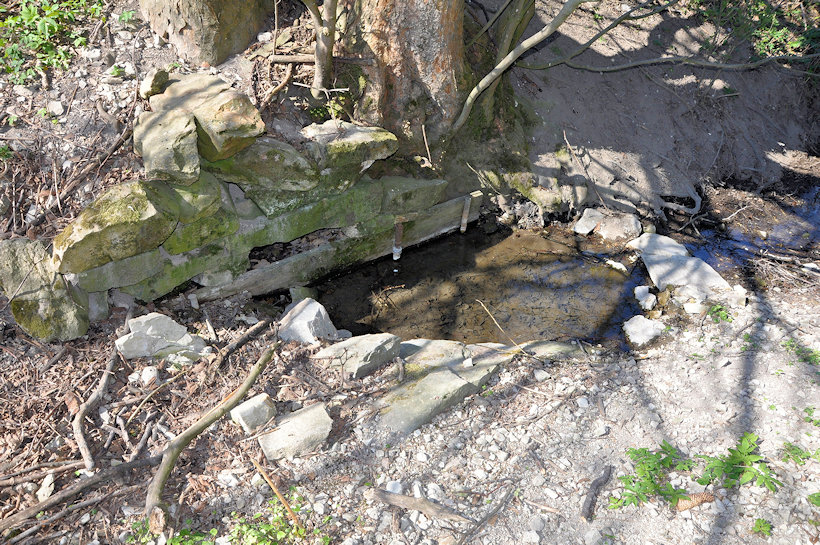 studánka V jesení (13284)