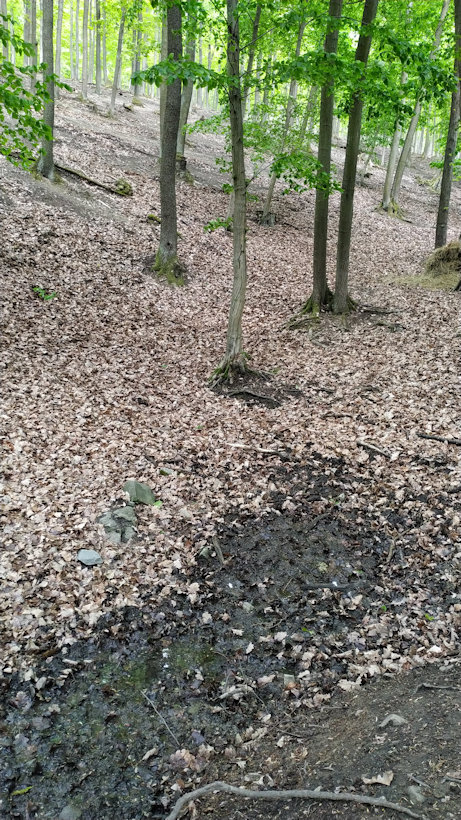 Prameniště bez názvu  (13290)