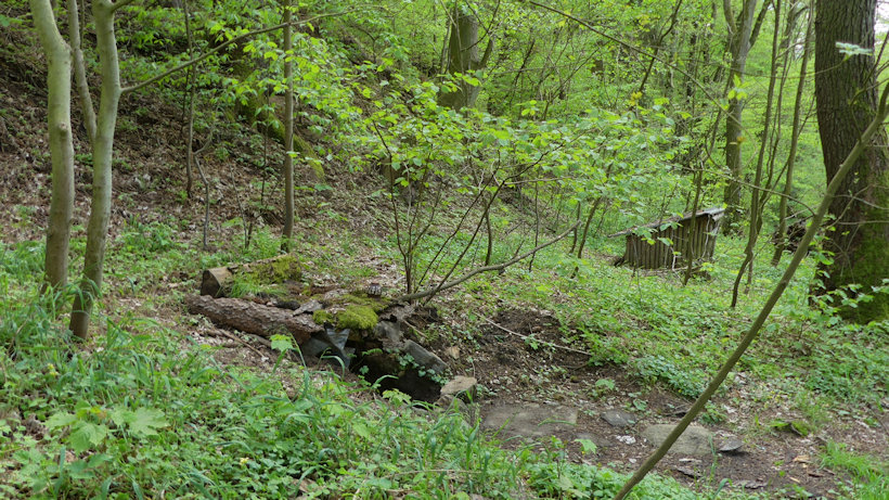 studánka Trojstudánčí (13304)