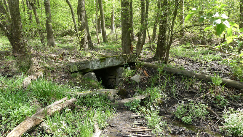 studánka Neřádovka (13305)