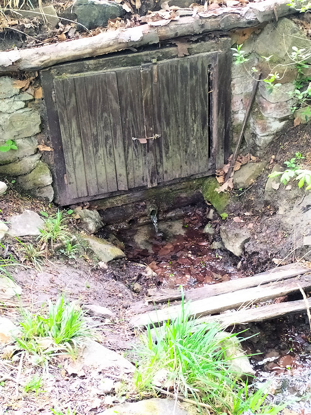 studánka bez jména (13312)