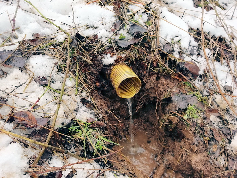 studánka Pod hradem (13331)
