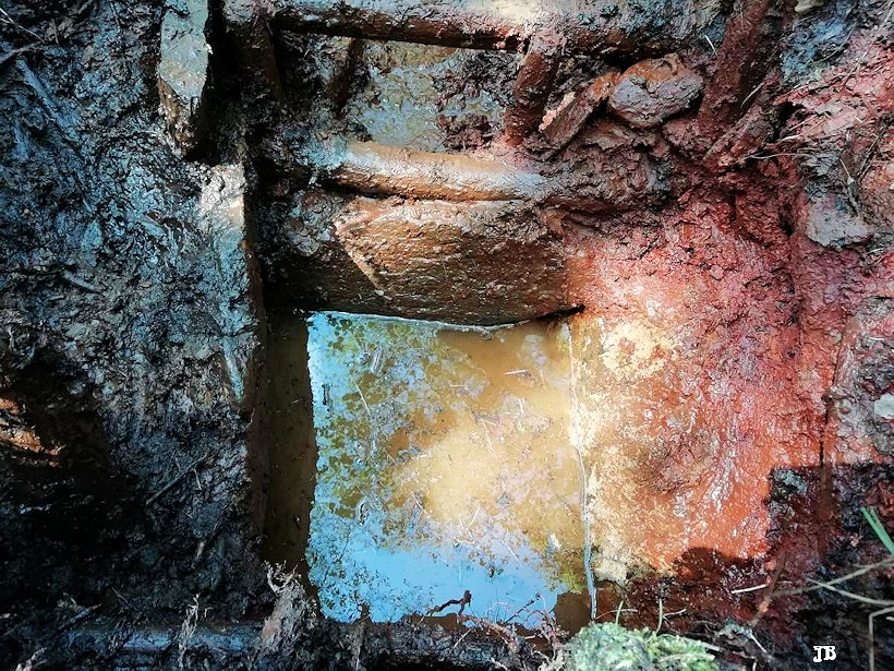 studánka Paličská kyselka (13336)