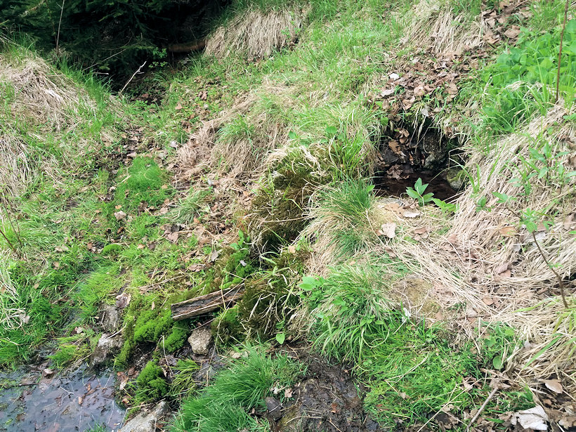 studánka bez jména (13348)