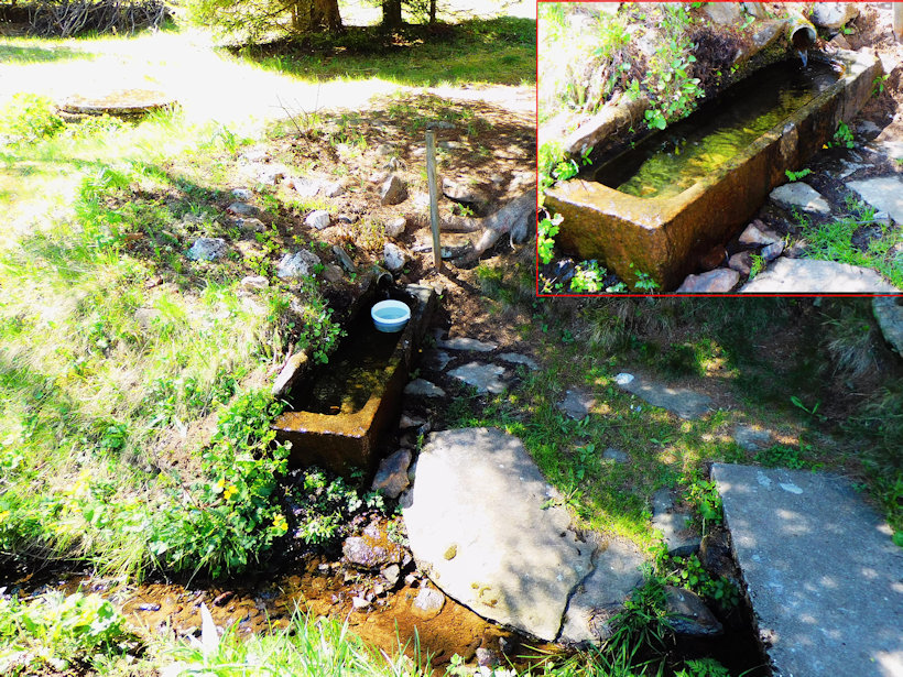 studánka bez jména (13349)