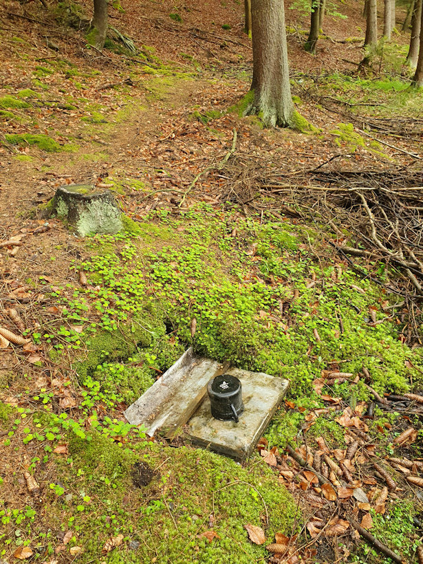 Lesní studánka (13350)