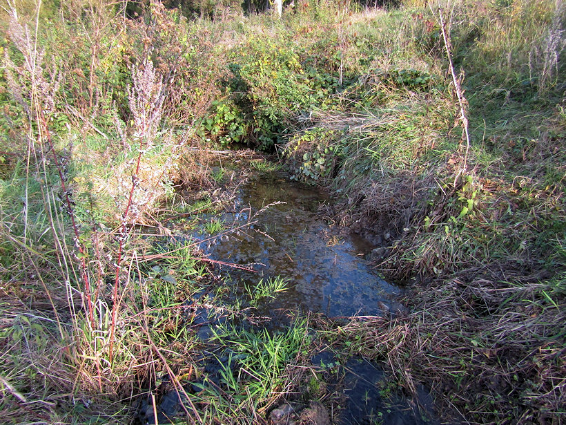 prameniště Na Hupech (13354)