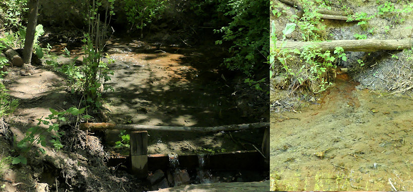 studánka Malšinka (13355)