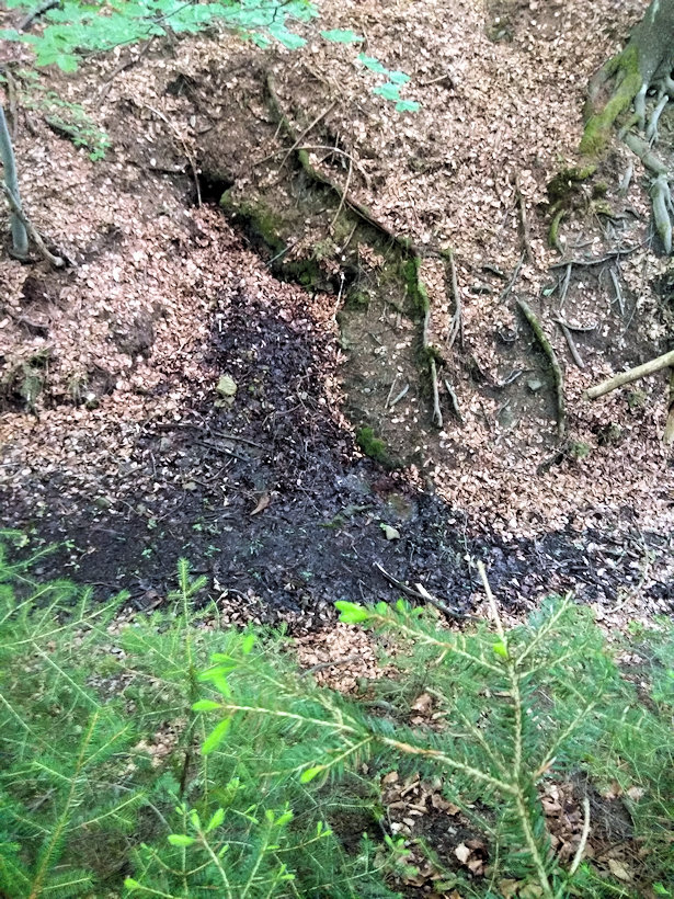 studánka V Mločím dole 2 (13360)