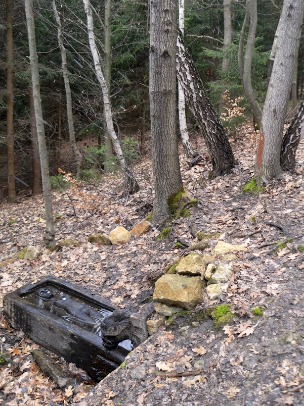 studánka U víly (13367)