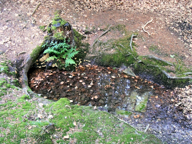 studánka U krmelce (13369)