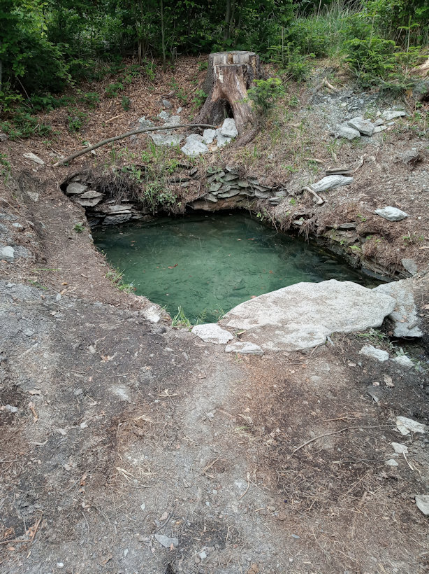 studánka Jiřinka (13374)