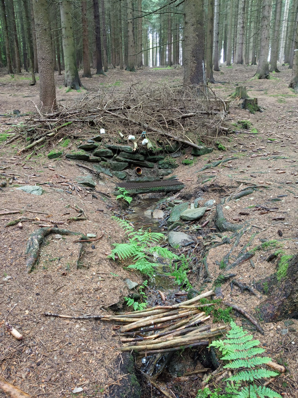 studánka Pod chatami (13376)