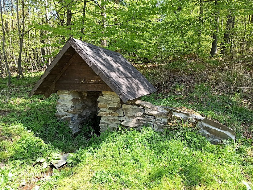 studánka bez jména (13380)