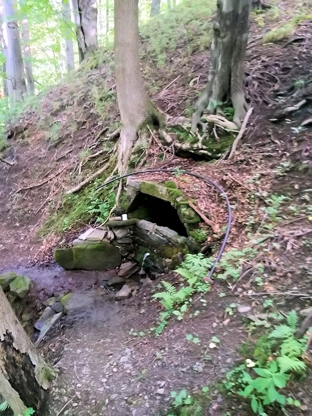 studánka V Medvědím (13385)