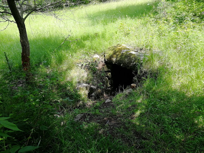 studánka bez jména (13386)
