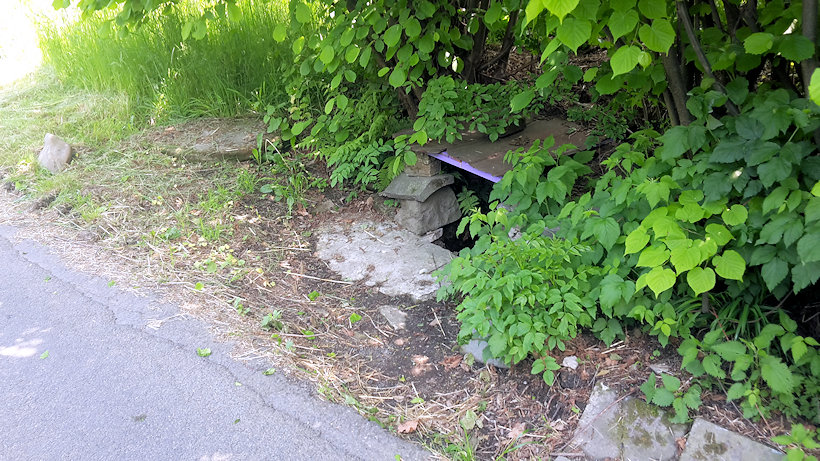 studánka bez jména (13394)