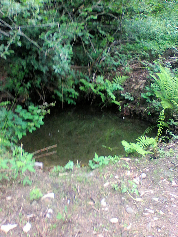 studánka V Hůrkách (13396)