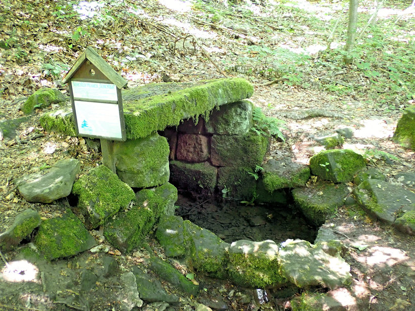 studánka Šenkýřka (13404)
