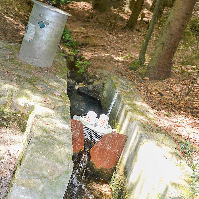 studánka Pod Kamenným vrchem (13405)